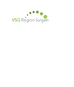 VSG Region Sulgen